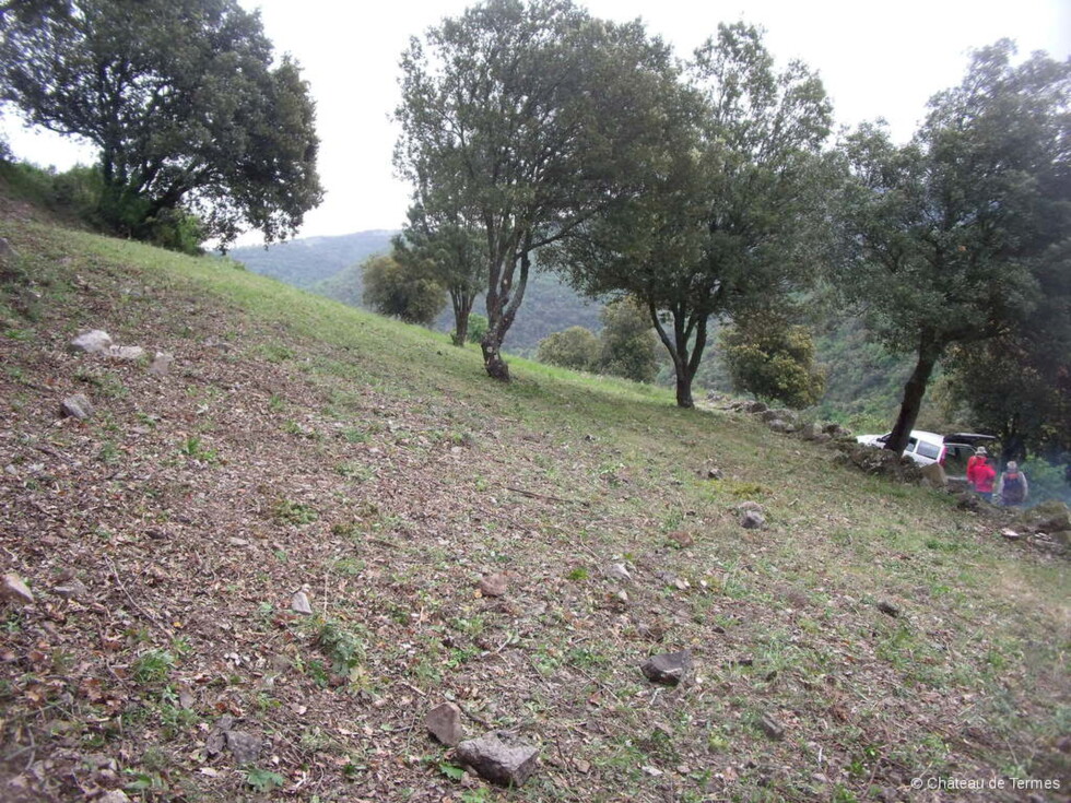 Bénévoles du village de Termes : débroussaillage